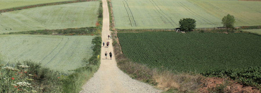 UNA MIRADA ACTUAL AL CAMINO DE SANTIAGO: Diagnóstico de situación, retos y oportunidades (Aula de Sahagún)