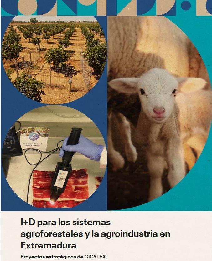  Jornada de CICYTEX: I+D para los sistemas agroforestales y la agroindustria en Extremadura. Mérida. 29 de noviembre de 2023