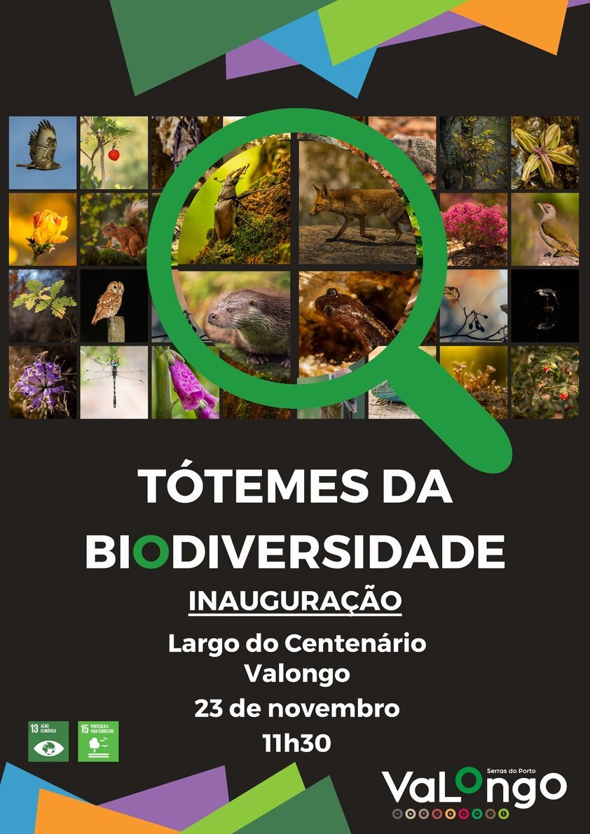 Exposição Tótemes da Biodiversidade no Largo do Centenário