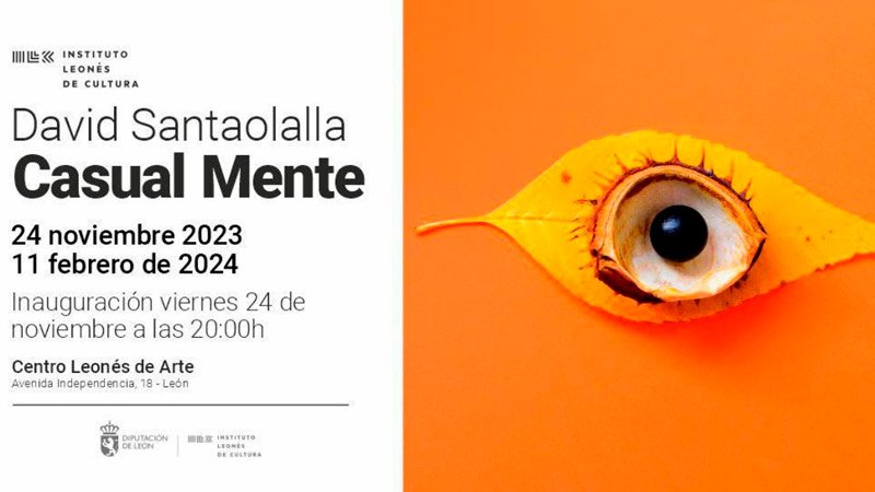 Casual Mente. David Santaolalla. Centro Leonés de Arte