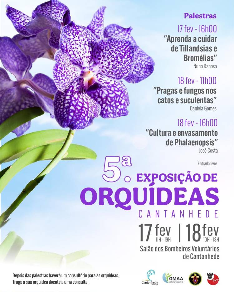 5ª Exposição de Orquídeas de Cantanhede