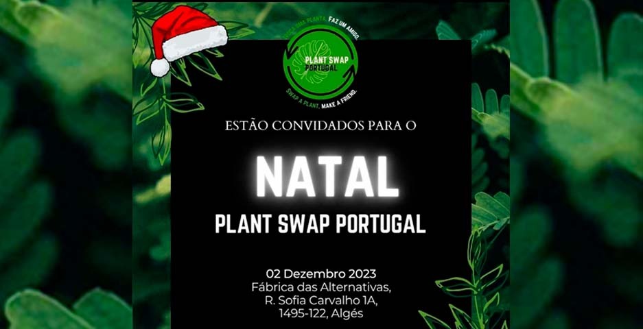 PLANT SWAP PORTUGAL EDIÇÃO DE NATAL