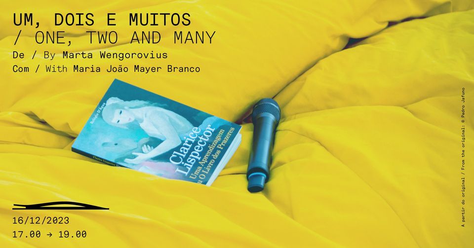 UM, DOIS E MUITOS / ONE, TWO AND MANY. De/By Marta Wengorovius, com/with Maria João Mayer Branco