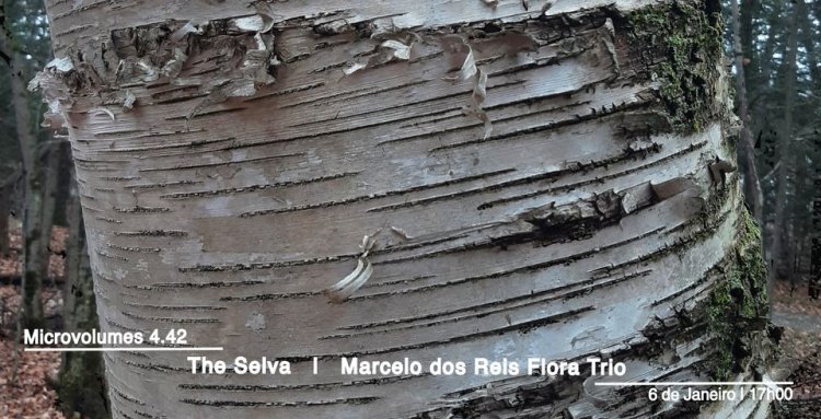 Microvolumes 4.42 | The Selva | Marcelo dos Reis Flora Trio