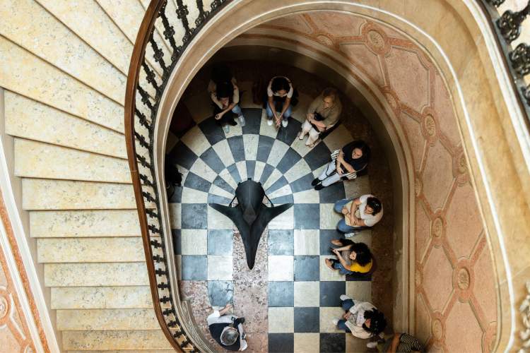 Visitas guiadas à Brotéria