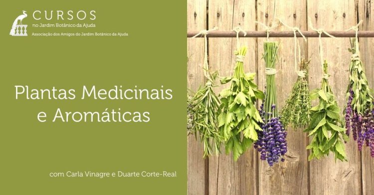 Plantas Medicinais e Aromáticas