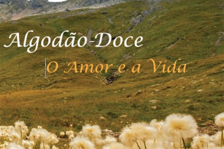 APRESENTAÇÃO DE LIVRO | Escrita com(n)vida: Algodão Doce – O Amor e a Vida por Madalena Rodrigues