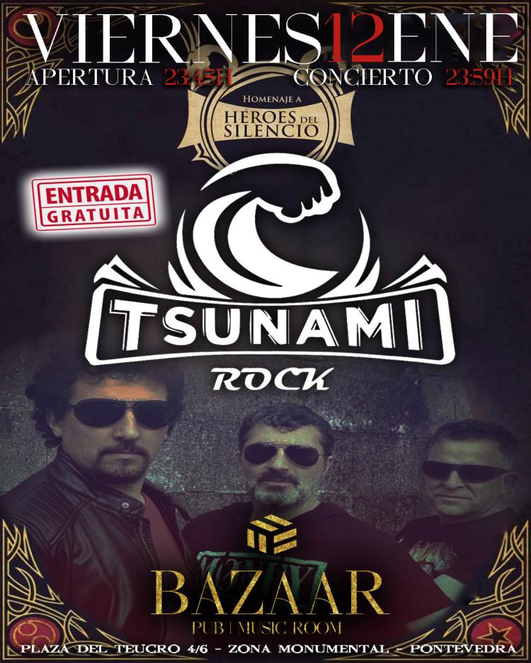 Concierto de Tsunami Rock (Homenaje a Heroes del Silencio) 