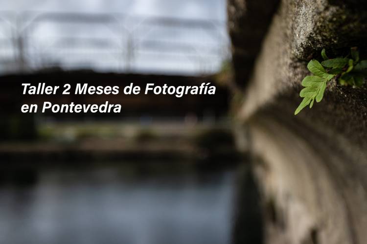 Taller 2 Meses de Fotografía en Pontevedra - Horario 3 - Febrero / Marzo 2024