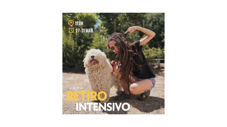 RETIRO INTENSIVO