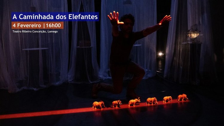 A Caminhada dos Elefantes @ Teatro Ribeiro Conceição, Lamego