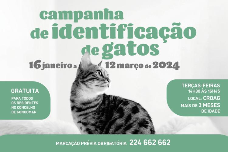 Campanha de Identificação de Gatos 2024