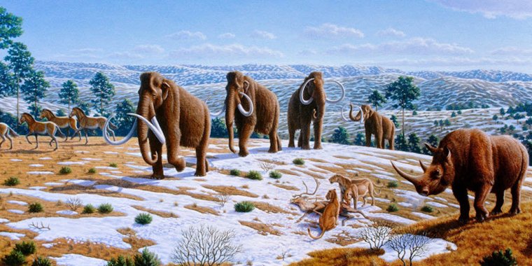 Palestra 'Extinção da Megafauna da Idade do Gelo'