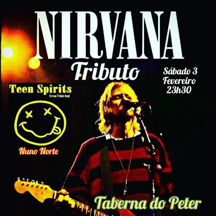 Teen Spirits Nirvana Tribute Band 