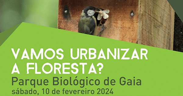 Vamos urbanizar a floresta?