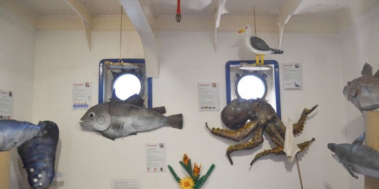 'Biodiversidade que nos conta História', exposição no Museu do Mar Rei D. Carlos