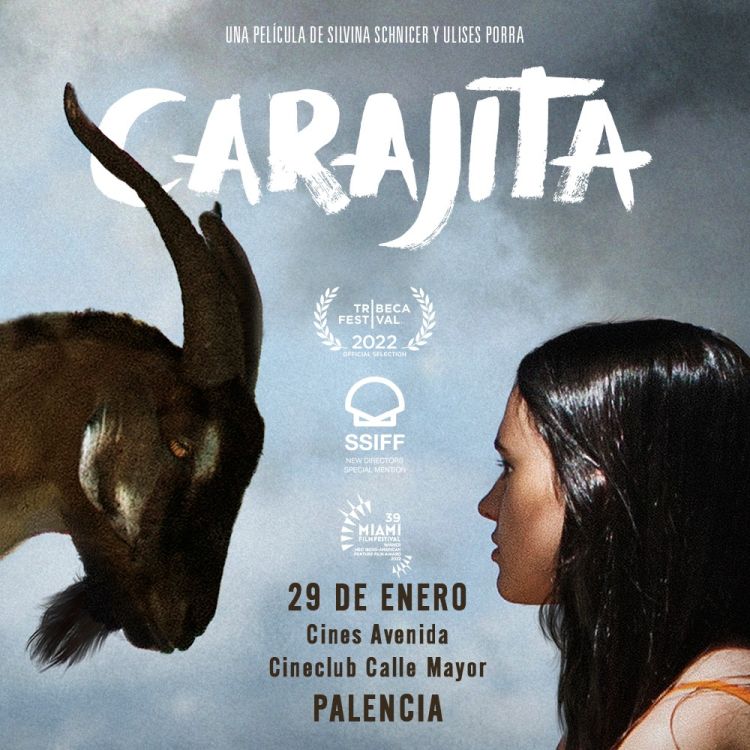 Carajita en Palencia