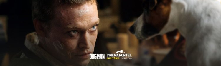 Cinema: Dogman