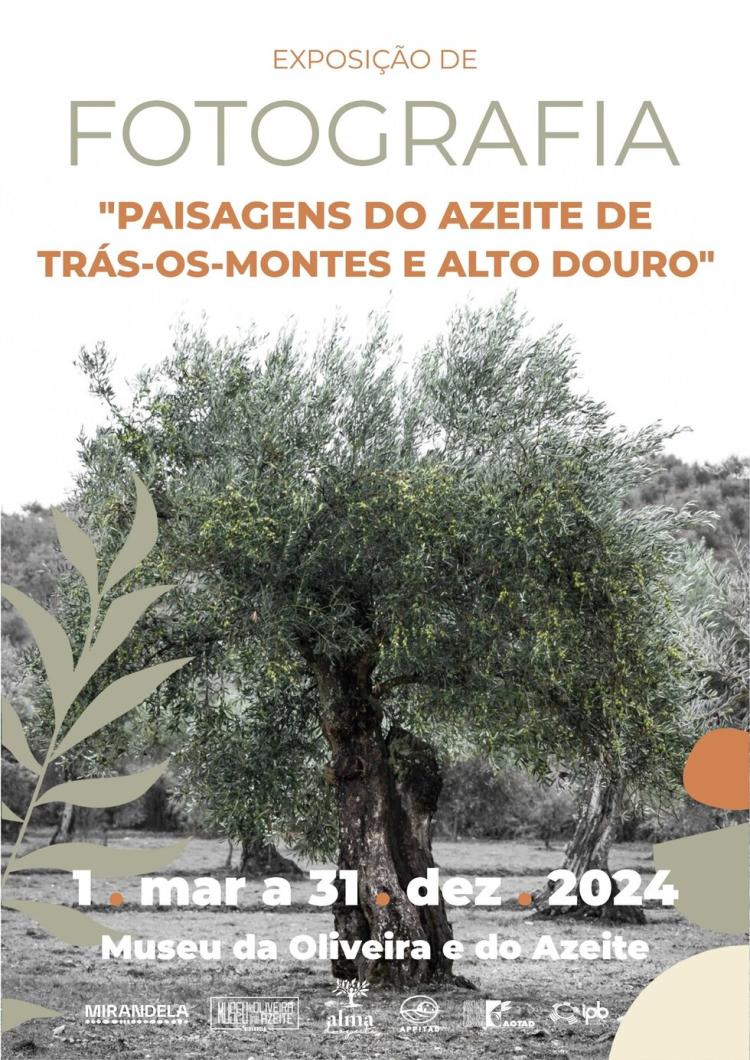 Exposição 'Paisagens do Azeite de Trás-os-Montes e Alto Douro'