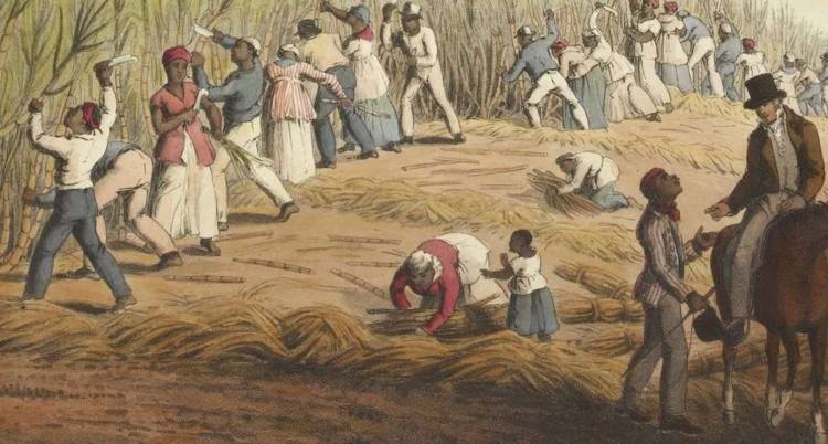 Seminário 'Caminhos para a Historiografia do Tráfico Atlântico de Escravizados'