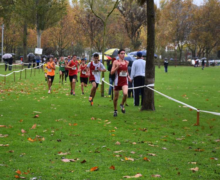 Campeonato de Estrada e Corta-mato