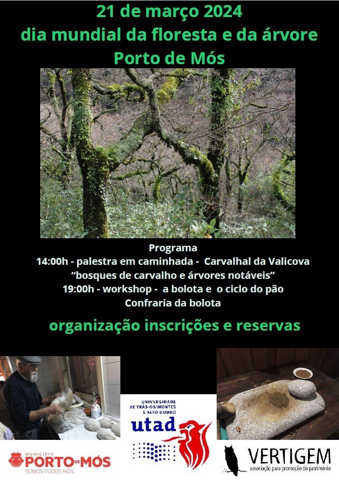 Dia Mundial da Floresta e da Árvore