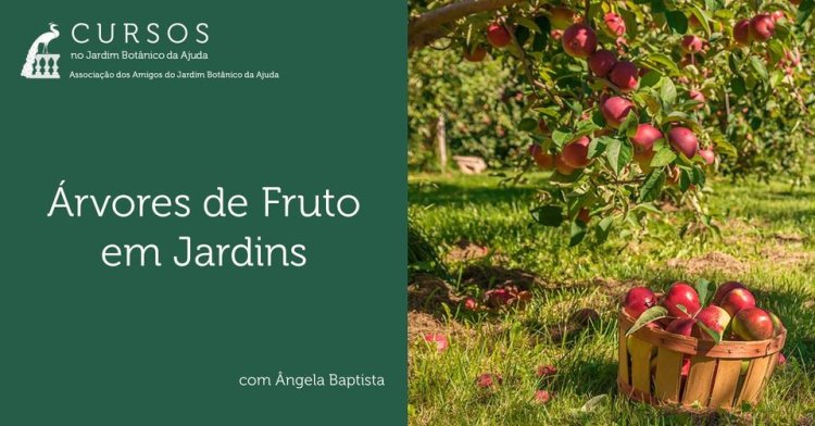 Árvores de Fruto em Jardins