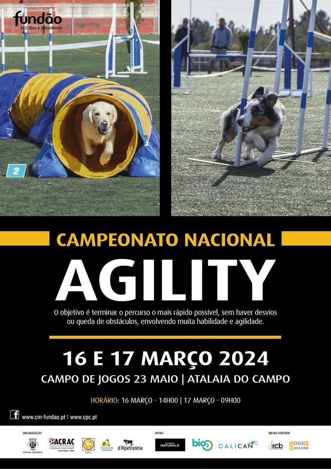Campeonato Nacional Agility 