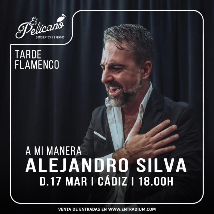 ALEJANDRO SILVA - Tarde Flamenca