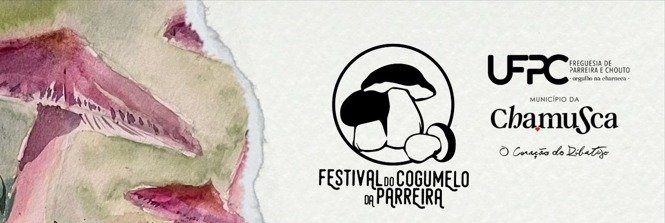 Festival do Cogumelo 2024
