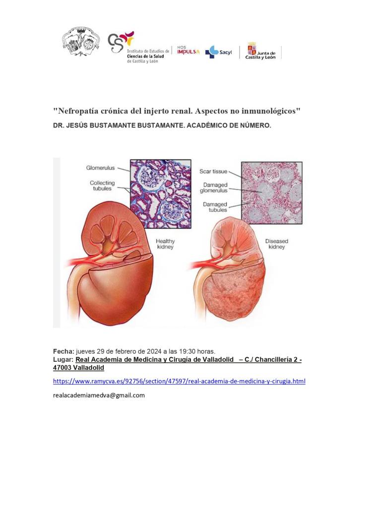 'Nefropatía crónica del injerto renal. Aspectos no inmunológicos'