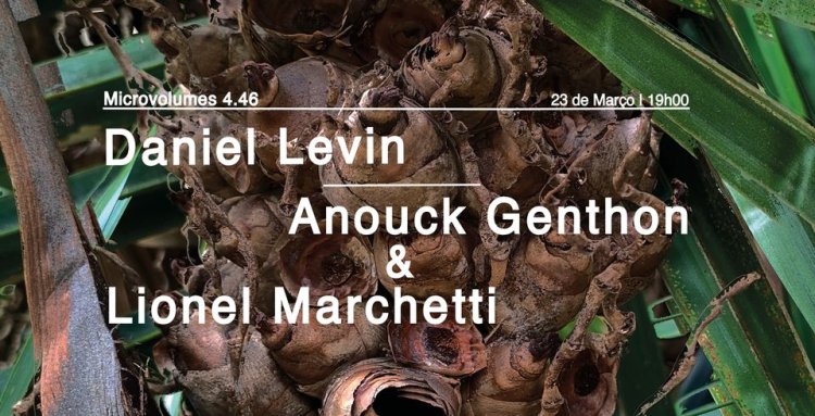 Microvolumes 4.46 | Daniel Levin | Anouck Genthon & Lionel Marchetti