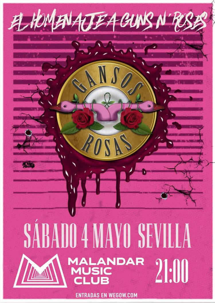 Gansos Rosas en Malandar - Sevilla