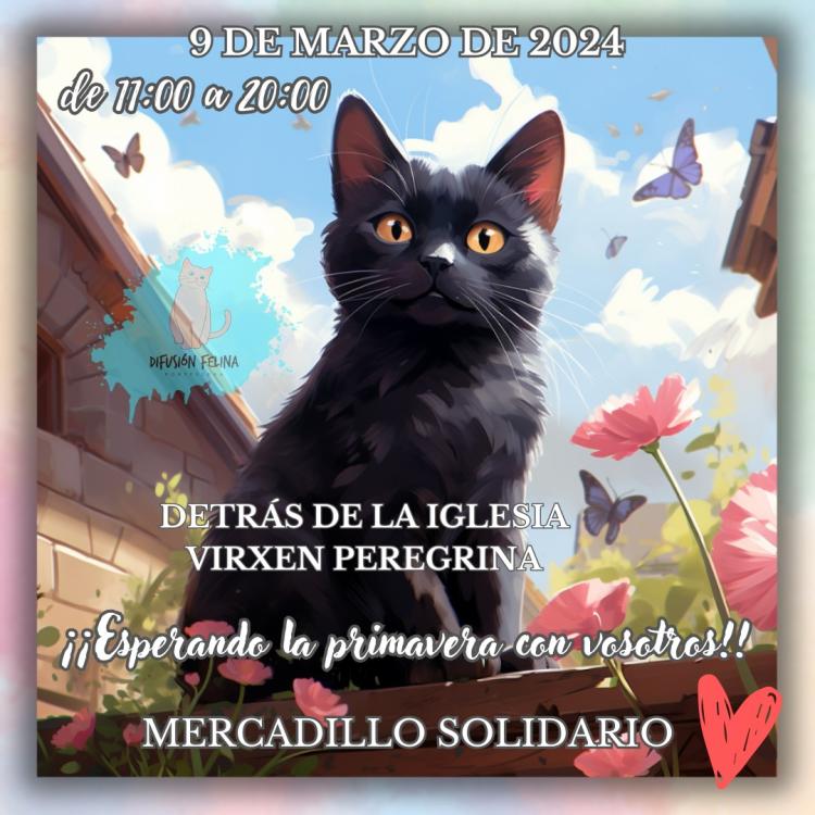 Mercadillo solidario Difusión Felina Pontevedra