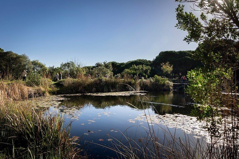 O Espaço Biodiversidade