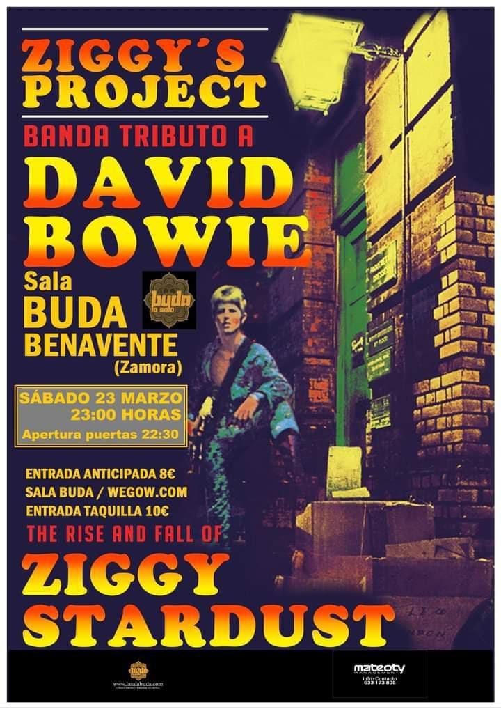 ZIGGY'S PROJECT - Tributo a DAVID BOWIE