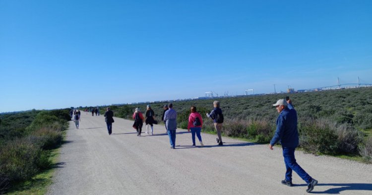 Nuestros Mayores Activos. Caminatas Saludables