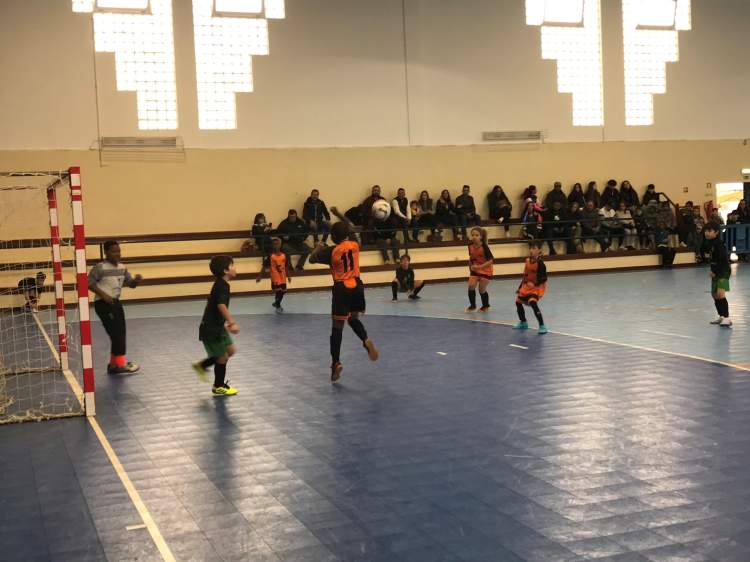 Programa Encontros Desportivos Concelhios – XIRA2024 destaca a modalidade de Futsal