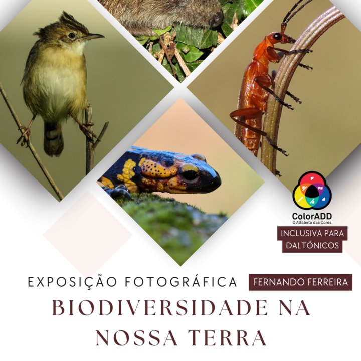 Exposição Fotográfica «Biodiversidade na nossa terra» de Fernando Ferreira