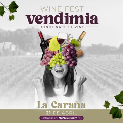 Wine Fest Vendimia
