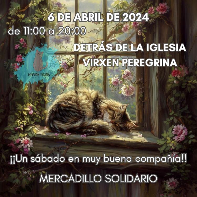Mercadillo solidario Difusión Felina Pontevedra