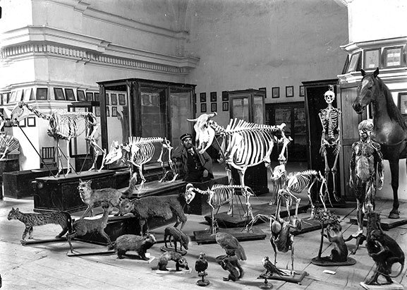 Lo animal en España, 1920-1964. Fundación Cerezales
