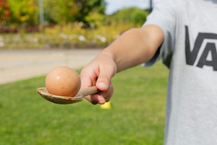 Páscoa em Viseu: Ovos: todos diferentes ou todos iguais?