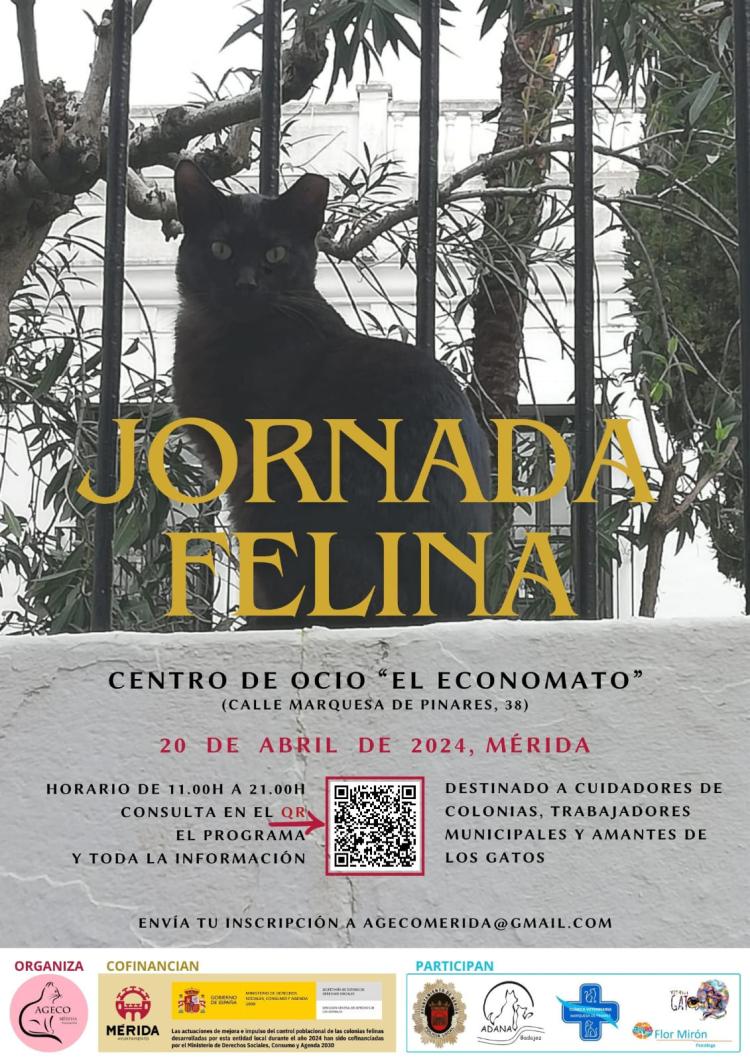 Jornada Felina