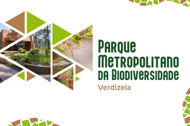Comemoração do 1.º Aniversário do Parque Metropolitano da Biodiversidade