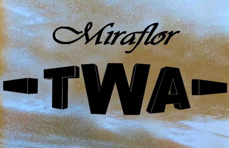 20 anos de TWA - — conversa e concertos