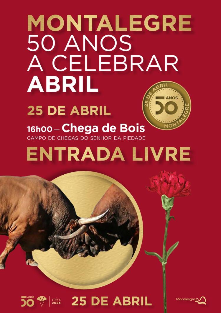 25 Abril | 'Chegas de Bois' em Montalegre