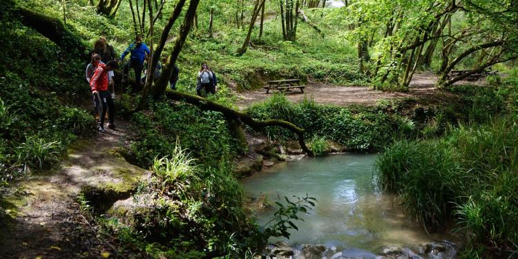 Caminhada em Família em Dia da Mãe: Vale da “Amazónia” | Leiria