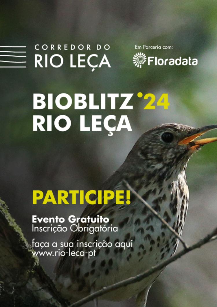 Bioblitz no Rio Leça