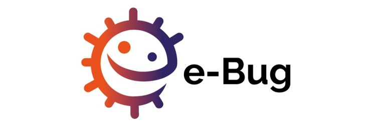 Projeto E-bug e Afetos [exposição]